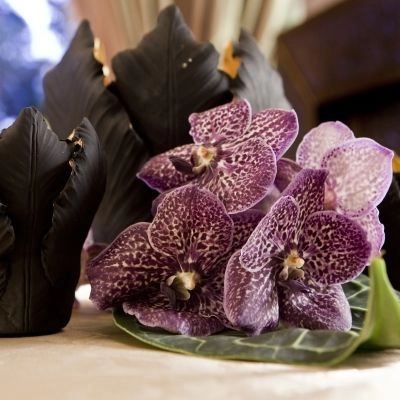 Orchidea vanda, orchidea viola, decoro con orchidee, decorazioni nero e viola